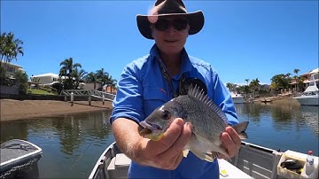 How to Catch Bream on Soft Plastics - Fishing Canals with Wayne Groomes