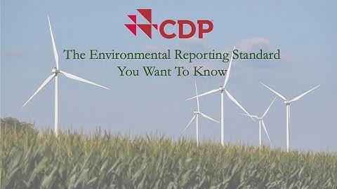 CDP: The Environmental Reporting Standard You Want to Know