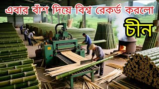 চীন বাঁশ দিয়ে করল বিশ্ব রেকর্ড | Bamboo Furniture Factory in China | Amazing Bamboo Creation