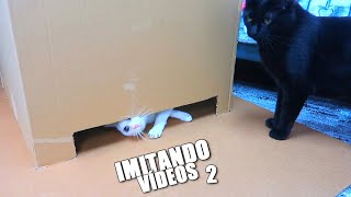 IMITANDO VÍDEOS 2