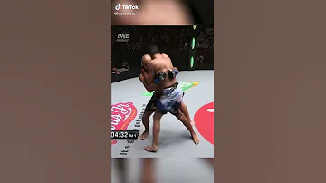 mma world Beautiful Movement