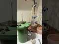 давление газа очень влияет на количество водорода