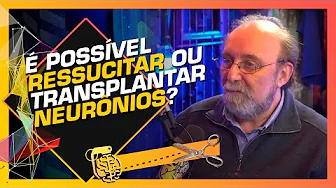 imagem do youtube