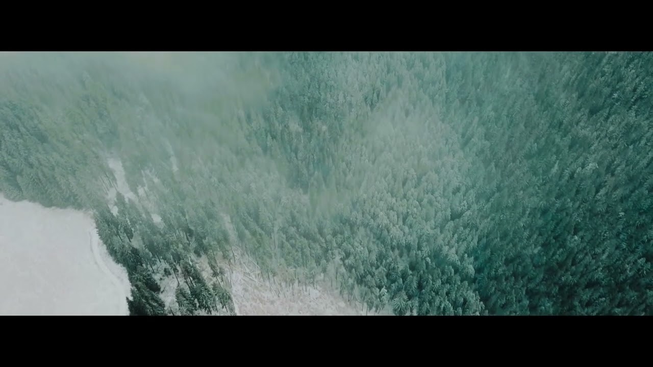 Așa de repede trec anii - Negativ