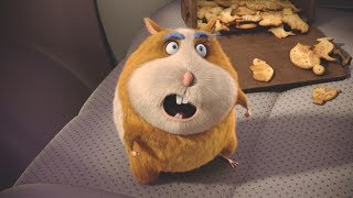 Annecy Film Review Animal Crackers