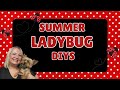 Summer ladybug diys