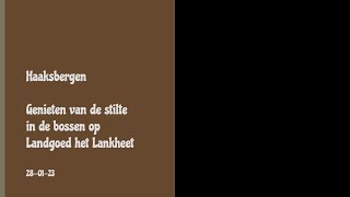 Haaksbergen Genieten Van De Stilte In De Bossen Op Landgoed Het Lankheet 28-01-23