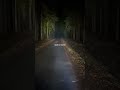 Sofirn SC18 vs Lumintop D2 #sofwul #svítilny #flashlight