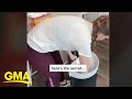 Mom’s trash bag hack reveals we’ve been doing it all wrong l GMA