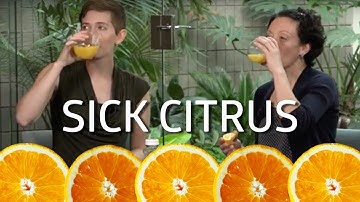 Citrus greening disease!