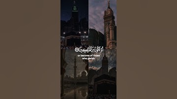 ارح قلبك ما تيسر من سورة يوسف | طمأنينة و سكينة لا توصف