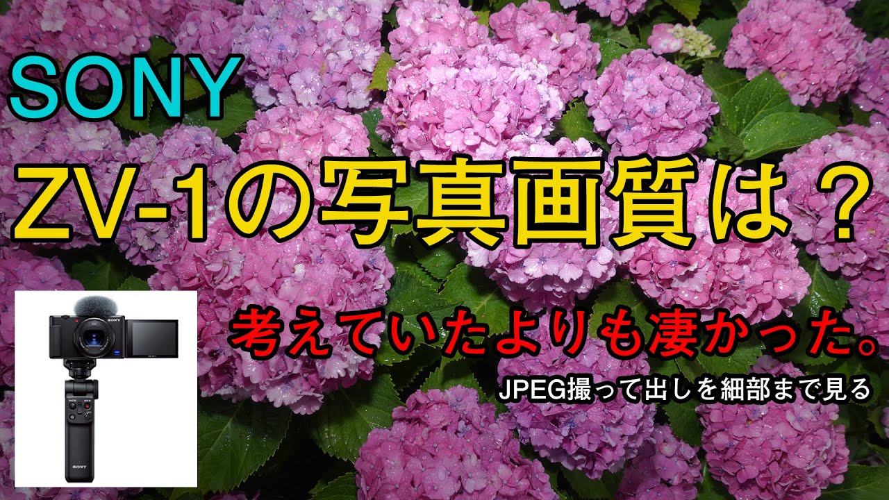 Sony ZV-1 （作例あり） SONY】VLOGCAM ZV-1 作例 | THE MAP TIMES