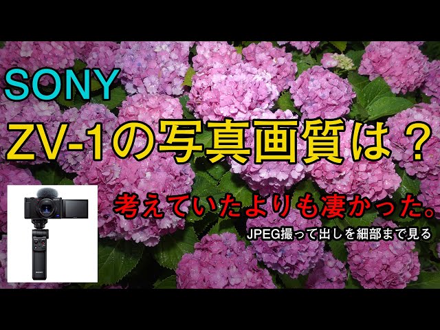 Sony ZV-1 （作例あり） SONY】VLOGCAM ZV-1 作例 | THE MAP TIMES
