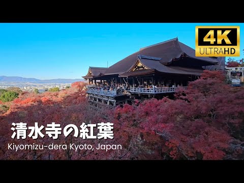 Kiyomizu Dera Famous Fall Foliage! The most visited place in Kyoto in autumn, Japan 【Autumn leaves】