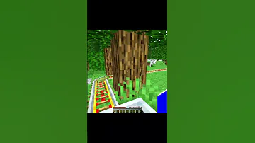 Yoo Bro Minecraft Shorts 