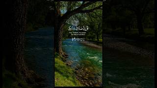 #surts #shor #ماهر_المعيقلي #حالات #اكسبلور #قرآن #duet #المصحف #quran #راحة_نفسية #تلاوة #دويتو