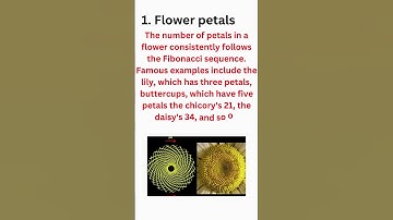 Fibonacci sequence, Fibonacci series,golden ratio #shorts #shortsfeed #education