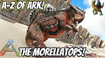A-Z Of Ark! The MORELLATOPS The Camel Of The Desert!! || Ark Survival Evolved!