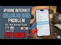 how to fix iphone internet problem cellular data network not active