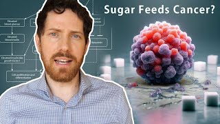 Does Sugar Cause Cancer?