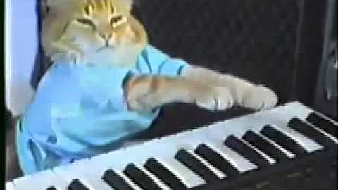 Charlie Schmidt's Keyboard Cat!   THE ORIGINAL!