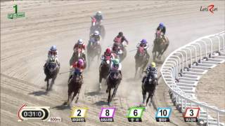 20160415 렛츠런파크 부산경남 1경주 1000m