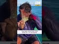 תיעוד מהפיליפינים: תמנון נצמד לפרצופו של דייג - ולא מרפה