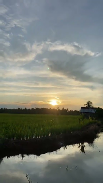 Story' wa 'vibes rokok di sore hari' 'status wa kekinian' #shorts