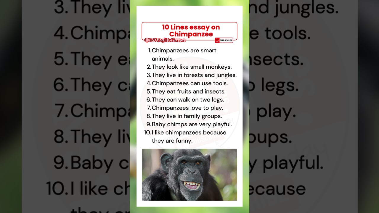 10 Lines Essay on Monkey in English | Essay on Monkey 10 Lines | 10 Lines on Monkey in English