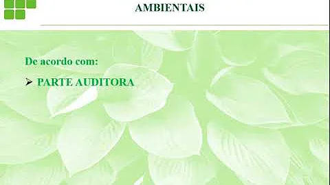 Quais as características da auditoria?