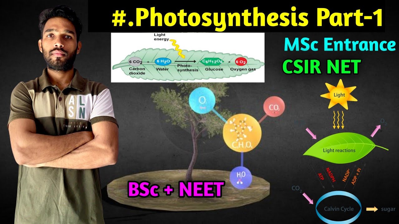 Photosynthesis Part-1 || Basic Introduction || BSc || MSc || CSIR NET Life Sciences || MSc Entrance