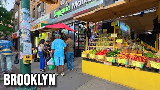 POV What Brooklyn ACTUALLY Looks Like Right Now