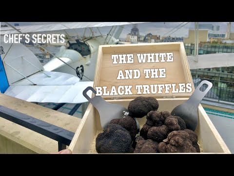 Vidéo: Truffes Noires Et Blanches