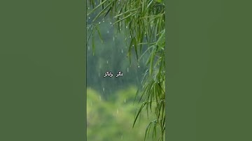 قران كريم سوره العنكبوت اية 45 بصوت القارئ علي جابر رحمه الله #راحة_نفسية #قران #سورة