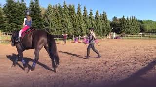 Ruby's 1st Canter