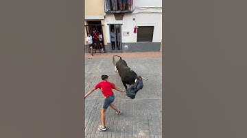 Thumbnail of ¡Toro cerril en Useras! (¡Espectacular!) #toros #useres #bull #toro