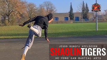 De Vlindertrap - Butterfly - Shaolin Kung Fu - Vechtsport