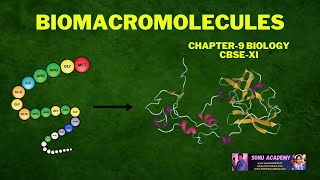 Biomacromolecules Biomolecules Biology Chapter-9 Cbse -Xi