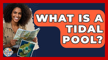 What Is A Tidal Pool? - The Geography Atlas