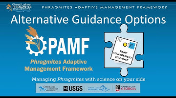 Alternative PAMF Guidance