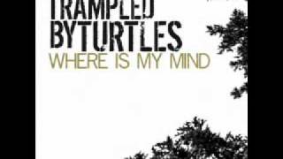 Trampled by Turtles - Where Is My Mind (Pixies Cover) chords