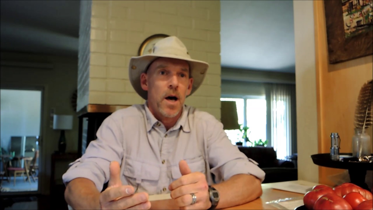 introduction to Outdoor Herbivore YouTube