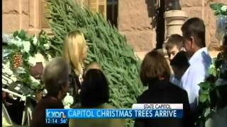 Capitol Christmas trees arrive
