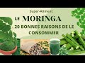 Le moringa ses 20 bienfaits  incroyable pour la sant sant bienfaits moringa