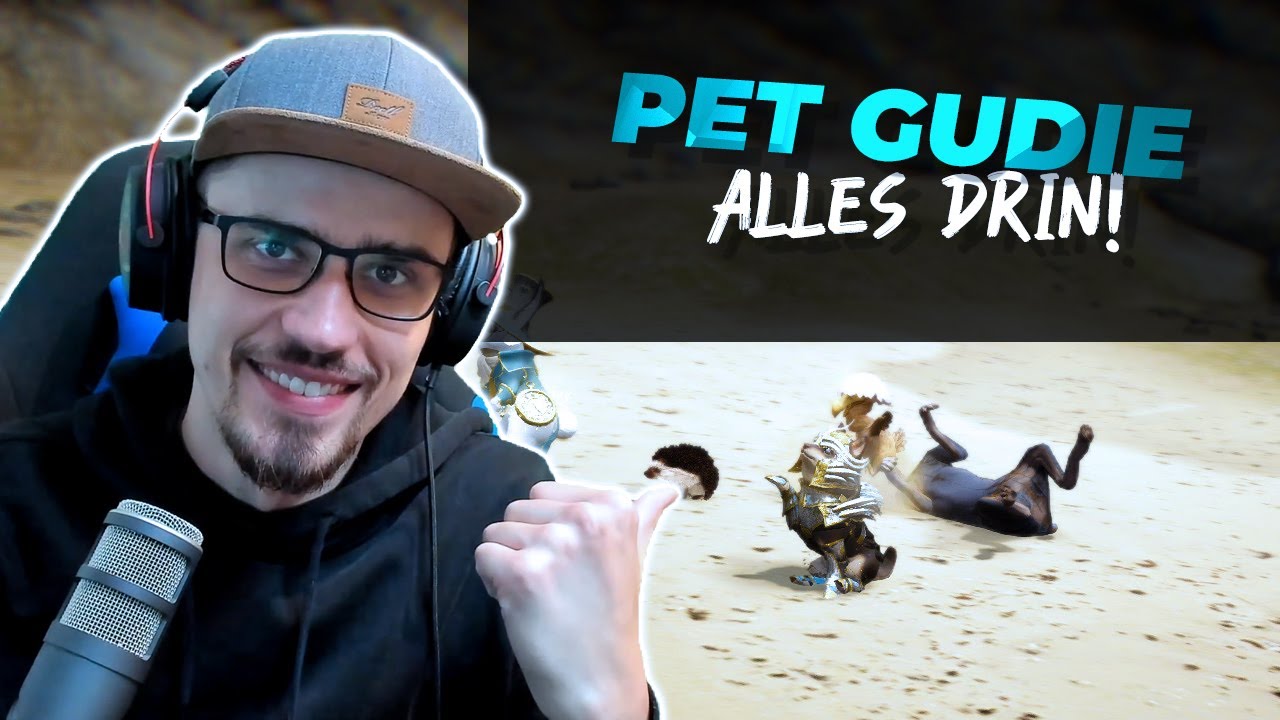 black desert online pet  Update New  Der Ultimative Pet Guide - Alles was du über Haustiere in BDO wissen musst | PinkyTV