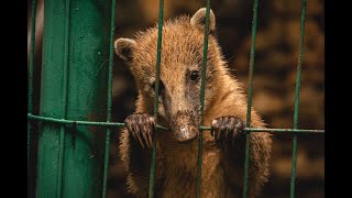 Betrayal A Minor - 90 Bpm Unsettled Annoyed Searching- Rnb Beat