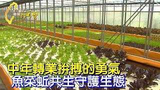 瘋狂阿伯的快樂農場 中年轉業研究'魚菜蚯'共生 為守護生態而拼搏的勇氣∣一步一腳印【魚菜共生拚搏的勇氣】20230521