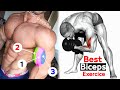 BICEPS WORKOUT | GET A HUGE ARMS | 7 Exercise