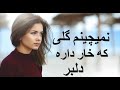 آهنگ زیبای ایرانی - نمیچینم گلی که خار داره دلبر / irani nice song