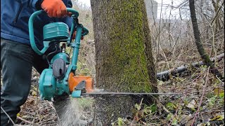 Дружба 4. Chainsaw. Последние видео в этом году.